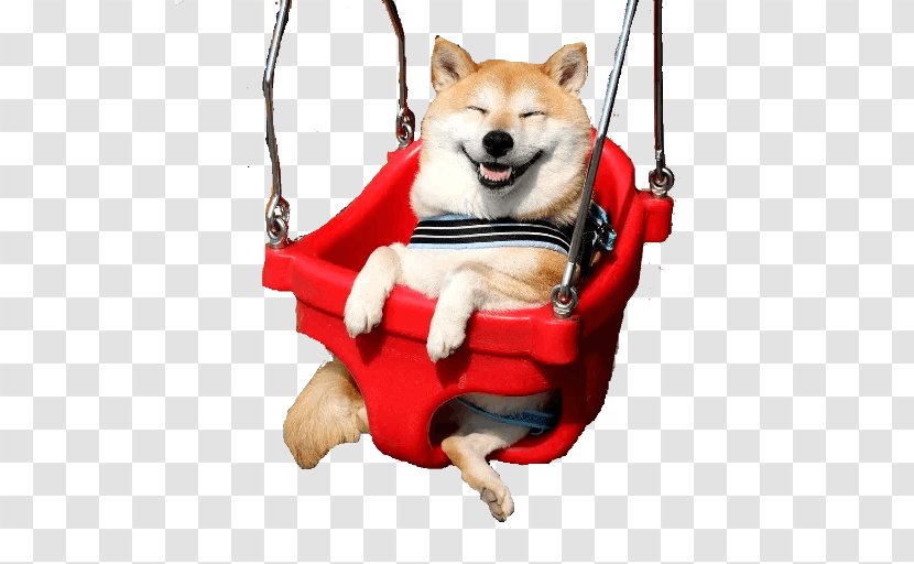 Shiba Inu Akita Guinea Pig Pet Marutaro Transparent PNG