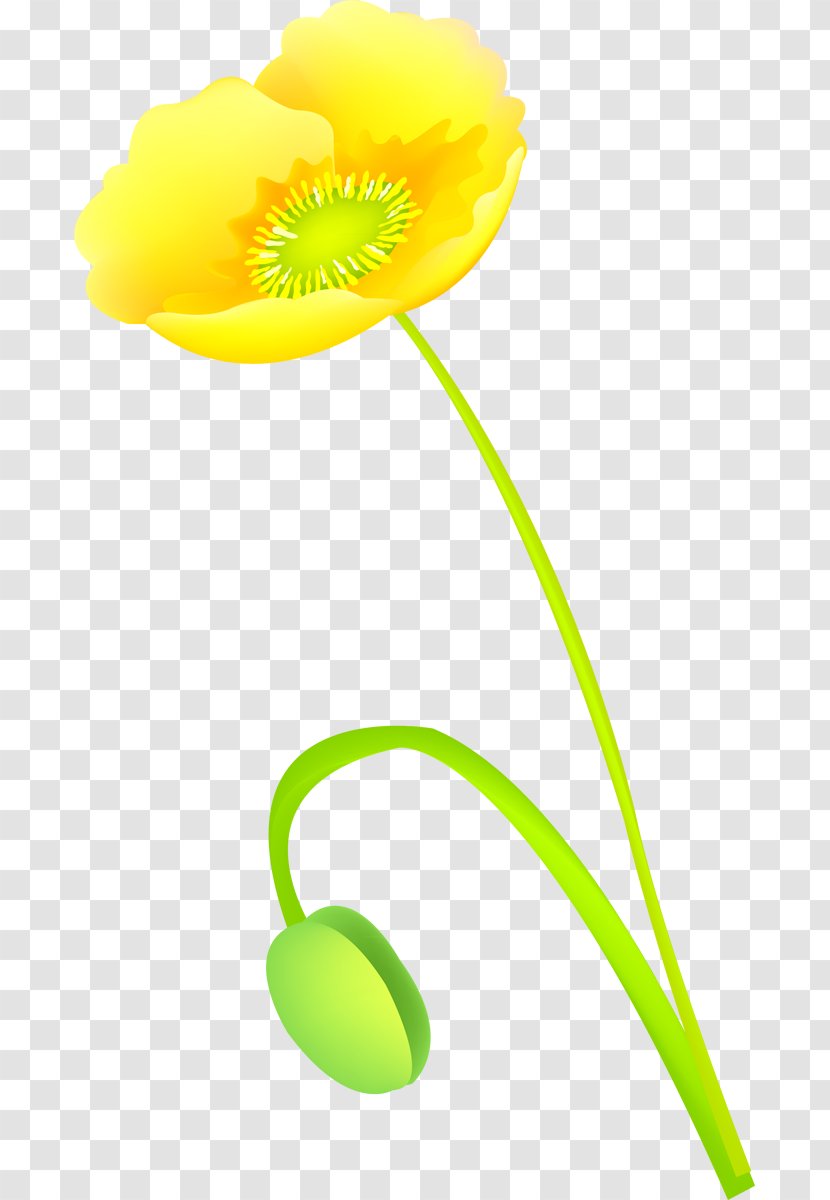 Flowering Plant Stem - Flower - Design Transparent PNG