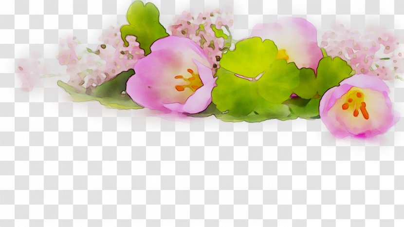 Pink Flowers Tulip Floral Design Petal Transparent PNG