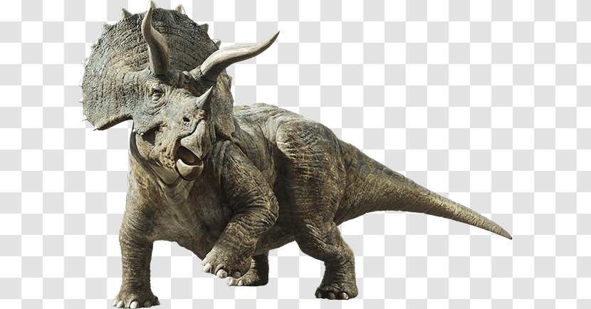 Triceratops Brachiosaurus Gallimimus Jurassic World Evolution Stegosaurus - Tyrannosaurus - Fallen Kingdom Baryonyx Transparent PNG