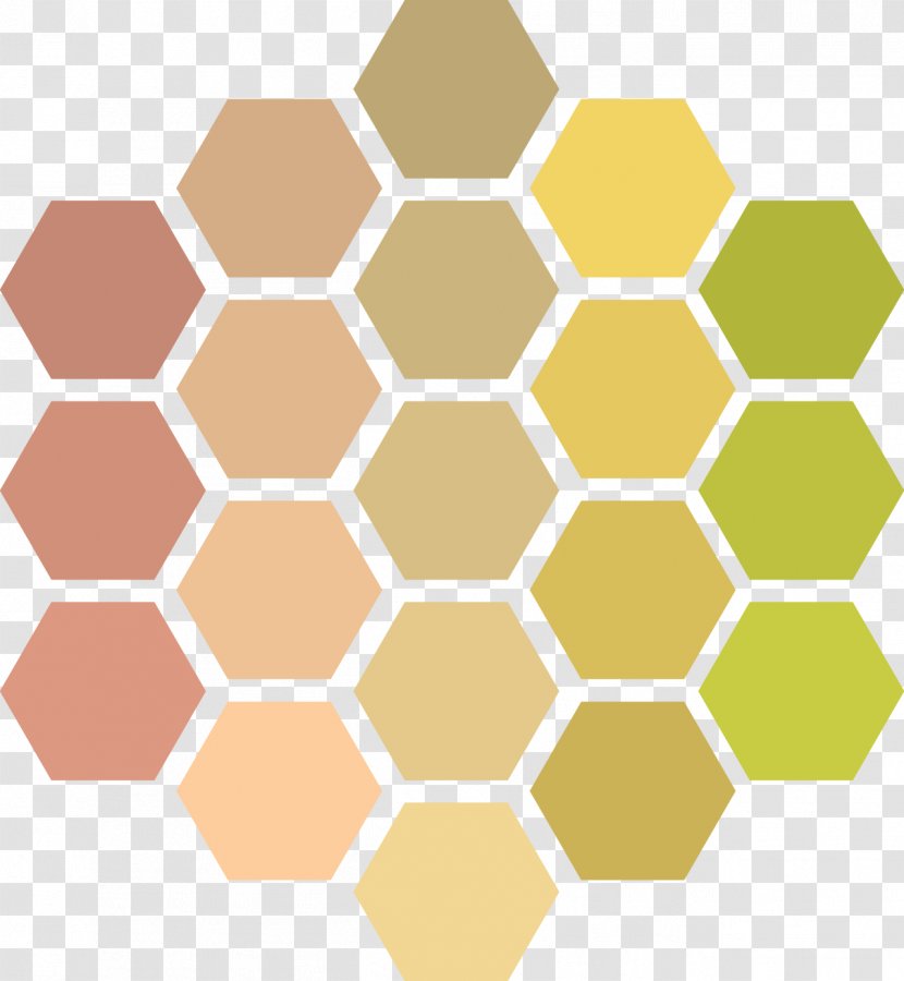 Honey Bee Honeycomb Hexagon - Symmetry Transparent PNG