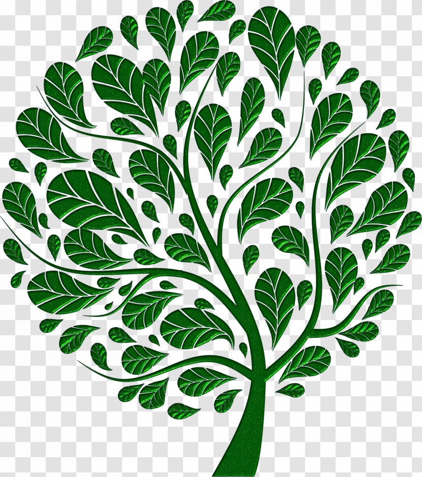 Tree Art - Herb Transparent PNG