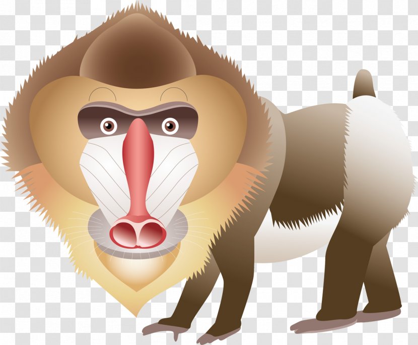 Cercopithecidae Mandrill - Mammal Transparent PNG