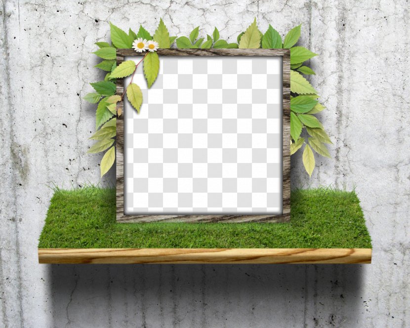 Picture Frame - Branch - Wood Transparent PNG
