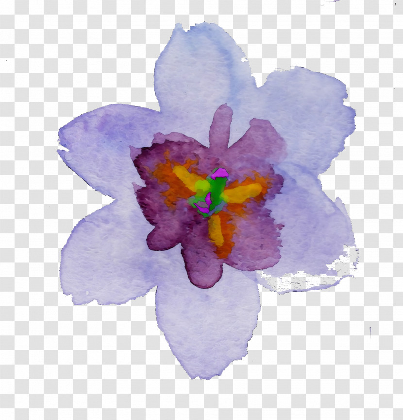 Petal Violet Flower Purple Watercolor Paint Transparent PNG