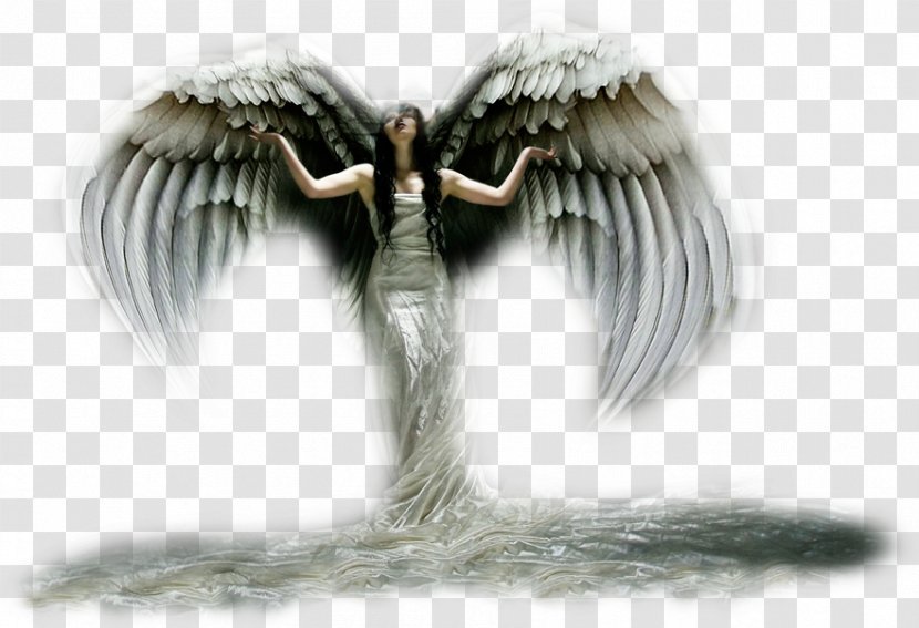 Angel Email Clip Art - Quotation Transparent PNG