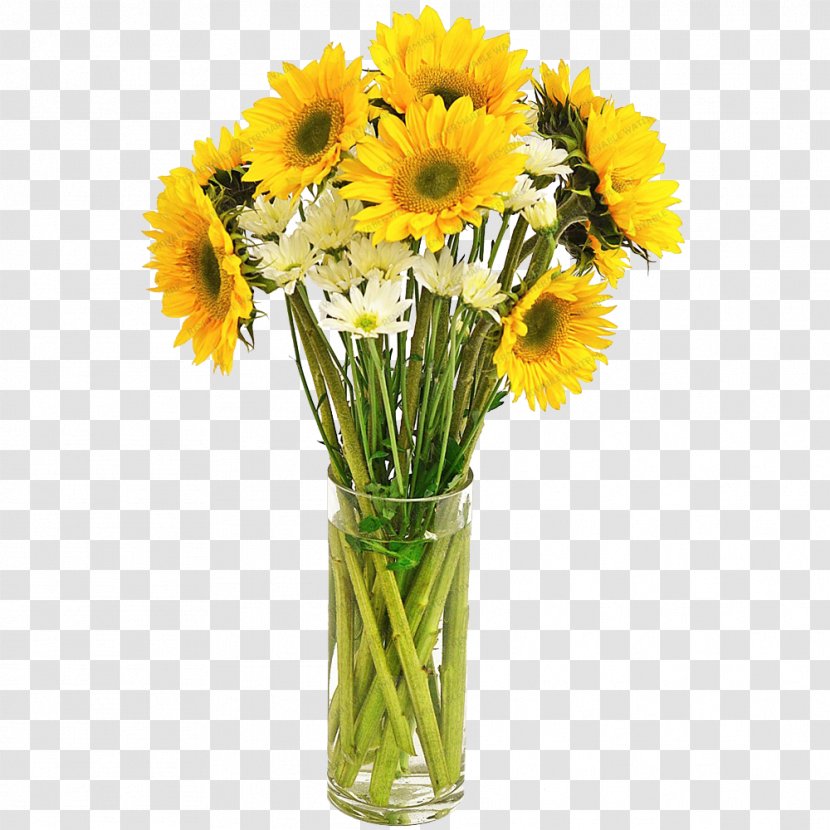 Common Sunflower Shop Vase - Asterales Transparent PNG