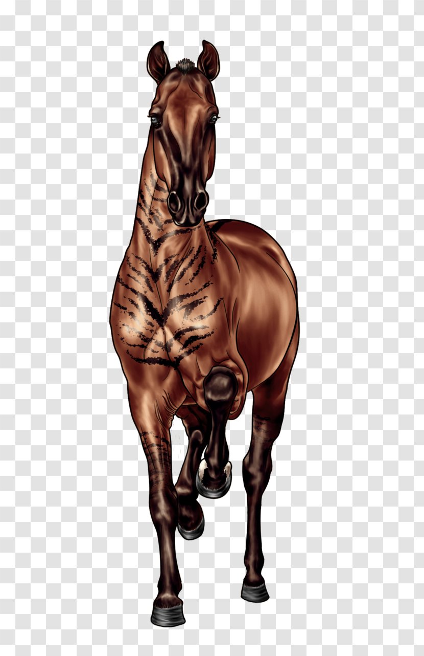 Horse DeviantArt Artist Pony Transparent PNG