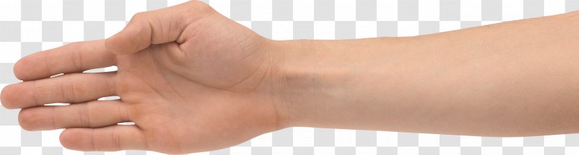 Hand Forearm Clip Art - Skin - Fingers Transparent PNG