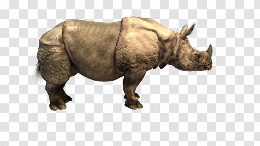 Indian Rhinoceros Horn - Mammal - Rhino Transparent PNG