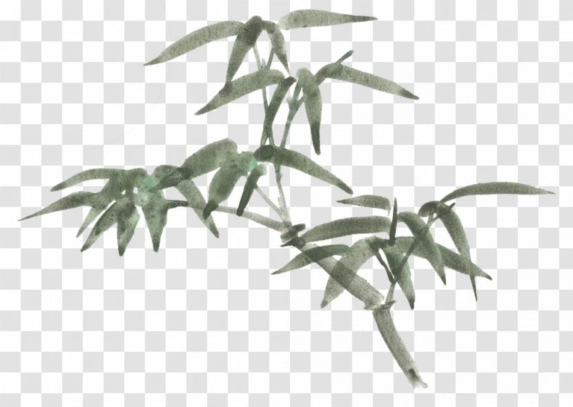 Bamboo Cartoon Drawing - Plant - Hand-painted Picture Pattern,Cartoon Painted Transparent PNG