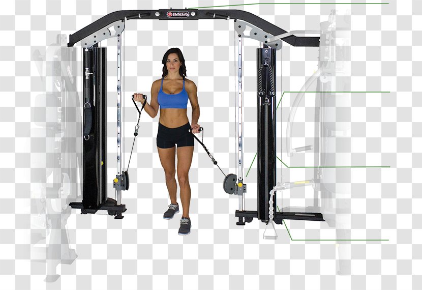 Functional Training Physical Fitness Centre Exercise Bench - Frame - Products Transparent PNG