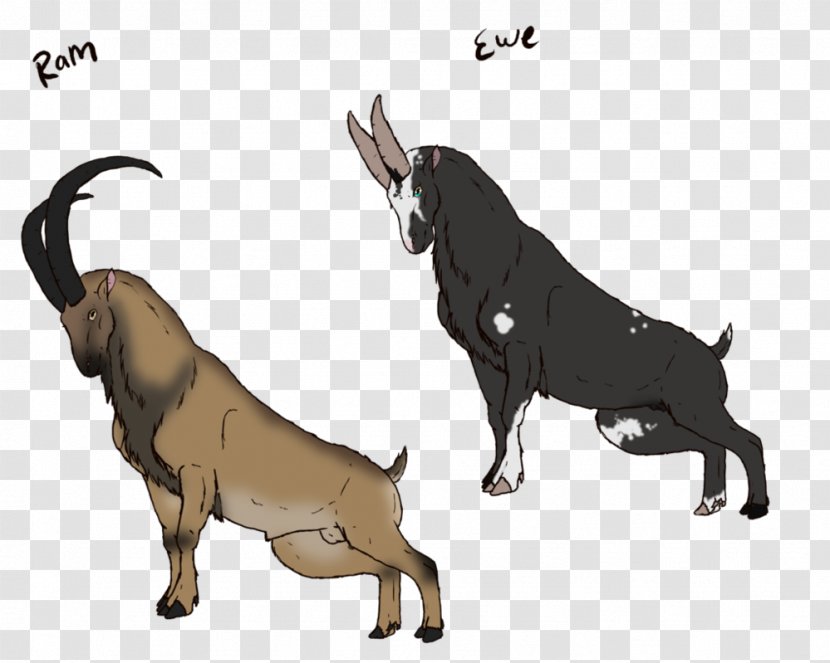 Dog Cattle Ox Horse Goat - Antelope Transparent PNG