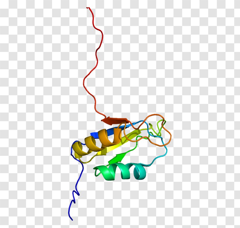 CUGBP1 CUGBP Elav-like Family Member 4 Protein Gene - Tree - Watercolor Transparent PNG