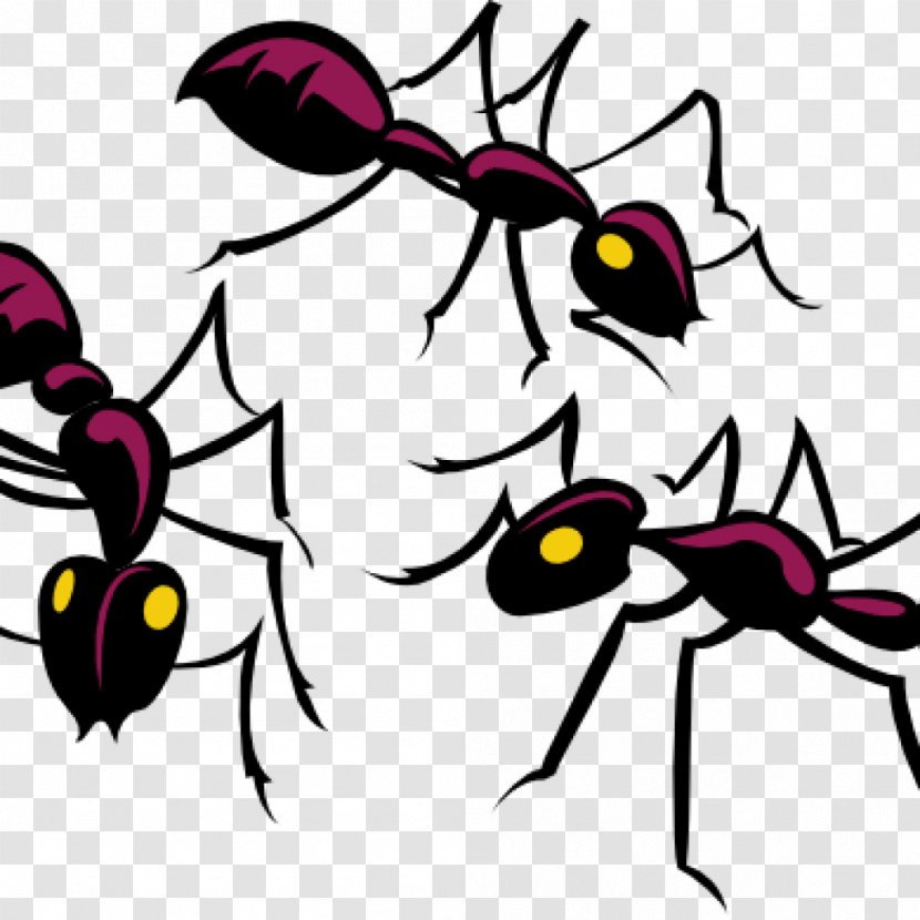 Black Garden Ant Clip Art Insect Vector Graphics - Invertebrate Transparent PNG