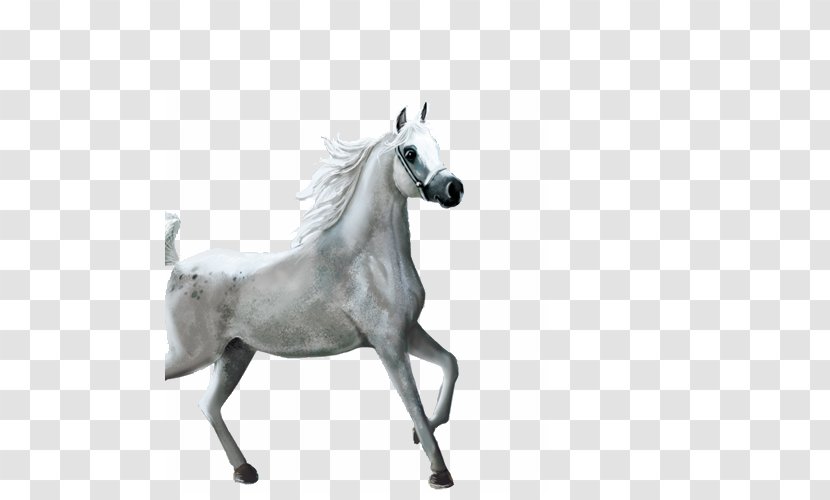 Horse Clip Art - Jogging - Whitehorse Transparent PNG