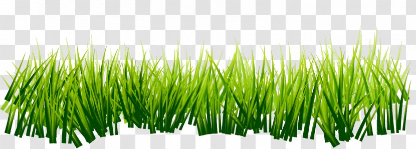 Green RGB Color Model - Sticker - Hand Painted Grass Transparent PNG