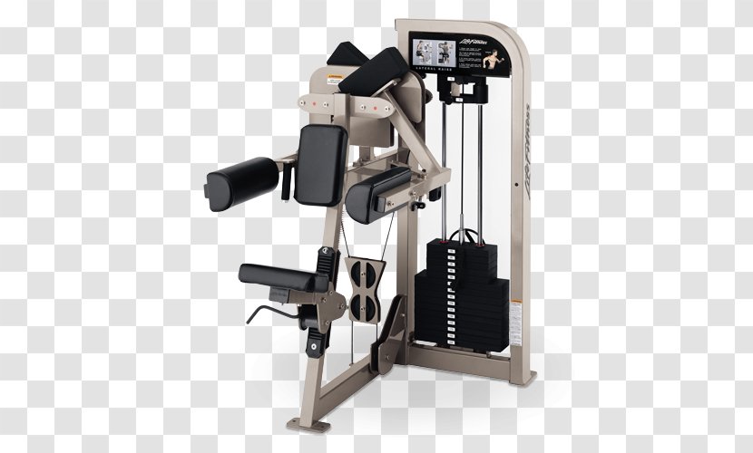 Exercise Equipment Life Fitness Machine Physical Centre - Halflife 2 Raising The Bar Transparent PNG