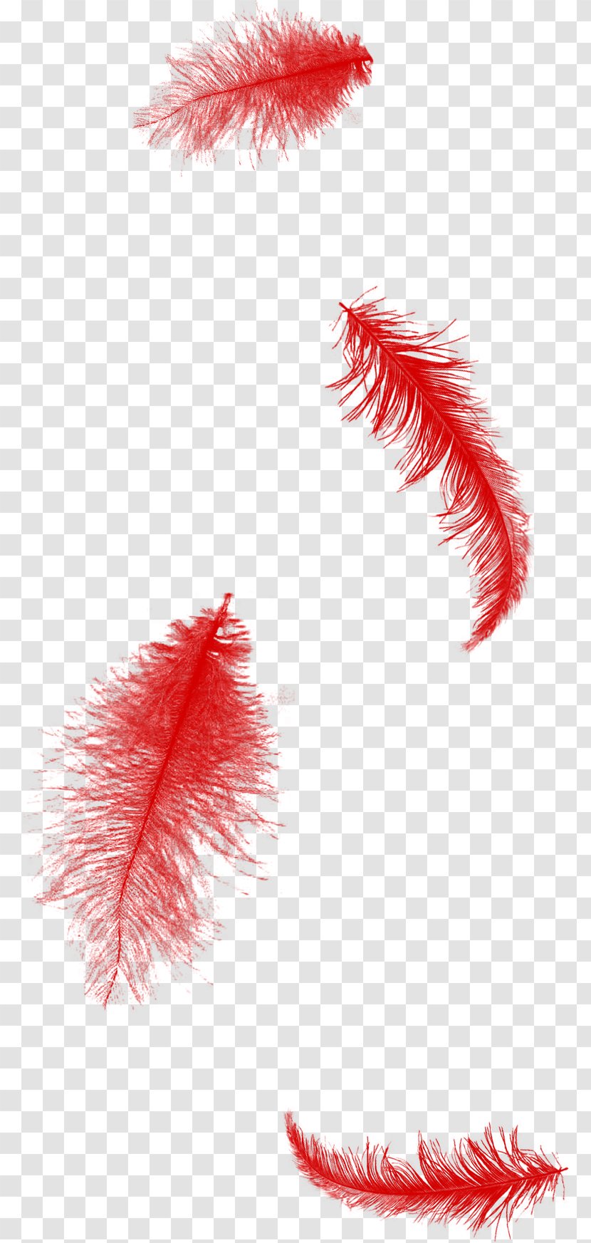 Feather Red Clip Art Transparent PNG