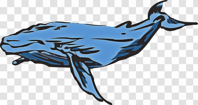 Marine Mammal Humpback Whale Cetacea Blue - Fish - Sperm Bowhead Transparent PNG