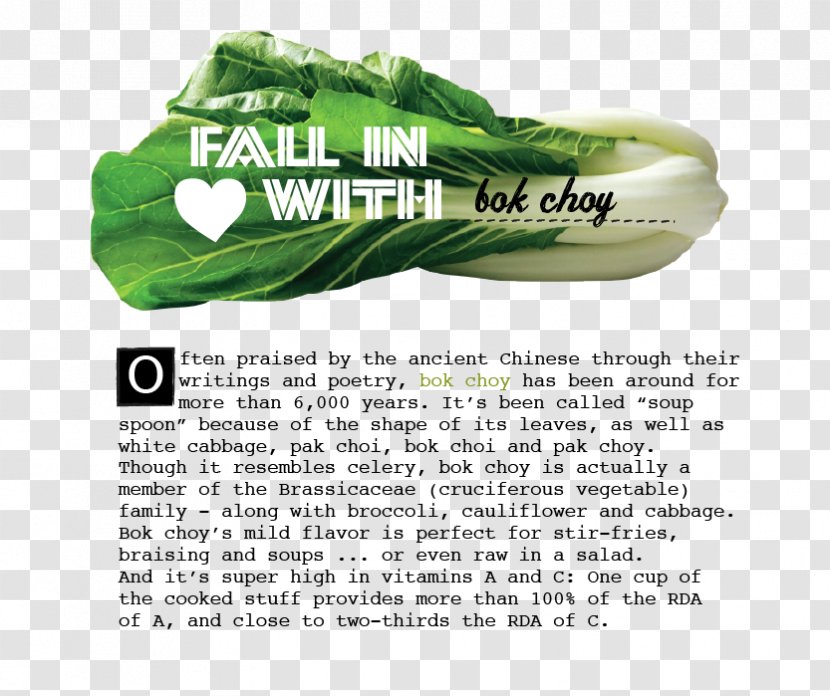 Leaf Vegetable Shoe - Design Transparent PNG