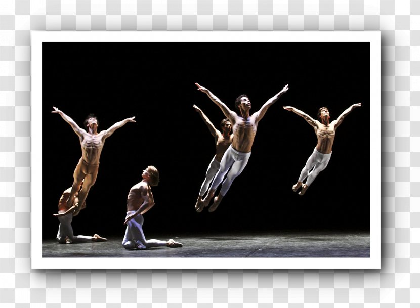 A Streetcar Named Desire Hamburg Ballet Boston Dance - Heart Transparent PNG