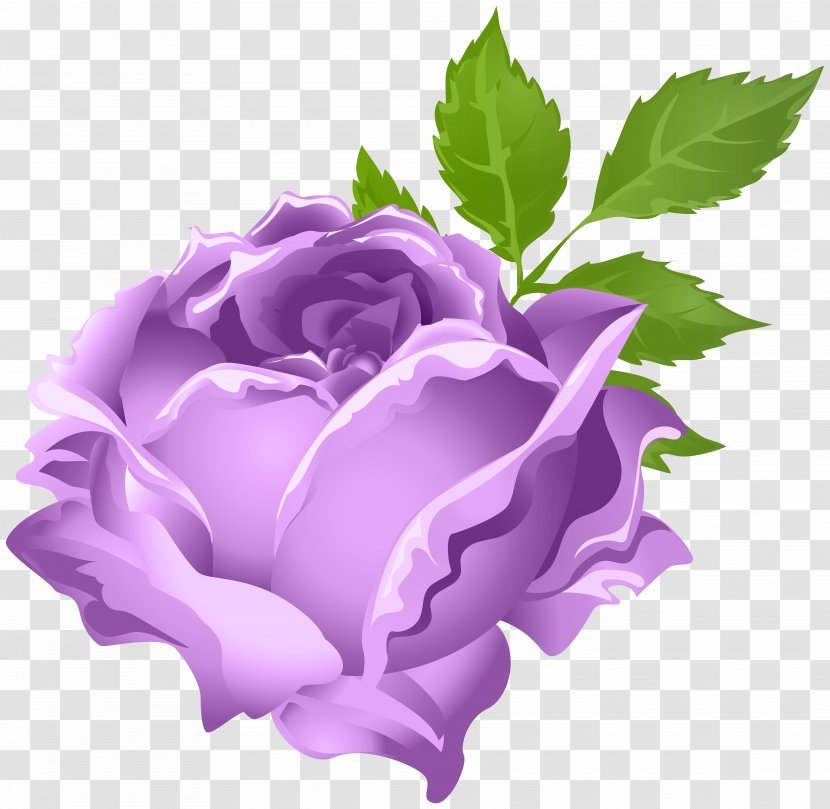 Rose Purple Flower Clip Art - Flowering Plant Transparent PNG