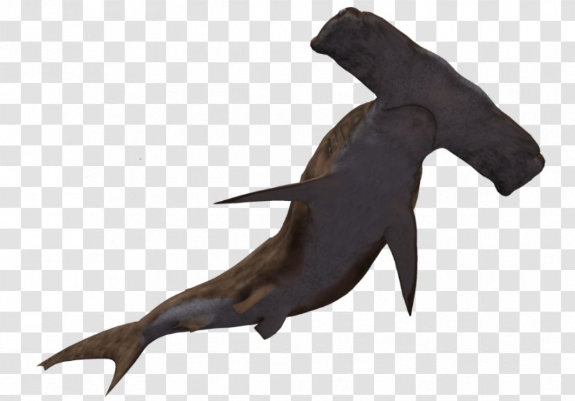 Hammerhead Shark Clip Art - Seals Transparent PNG