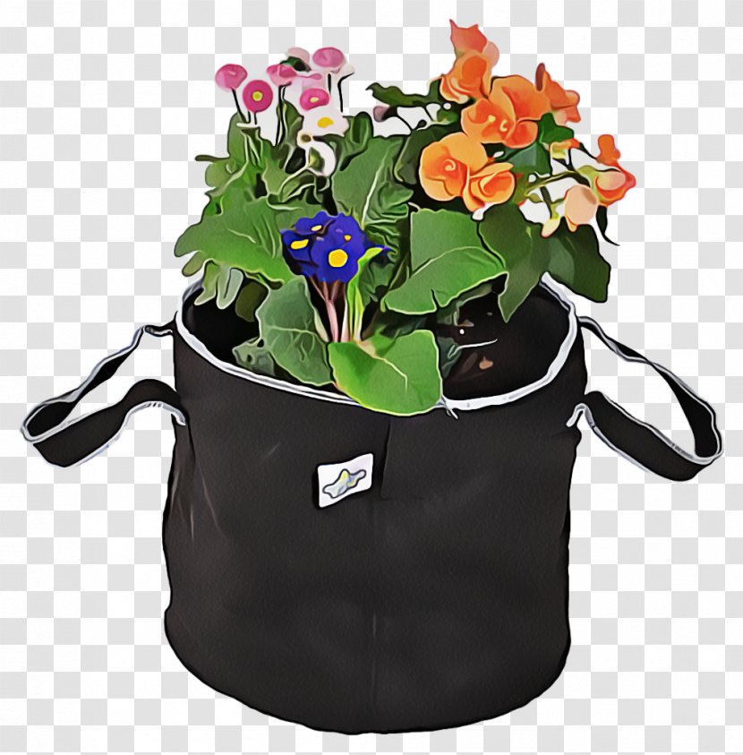 Flower Flowerpot Plant Flowering Houseplant - Anthurium - Morning Glory Impatiens Transparent PNG