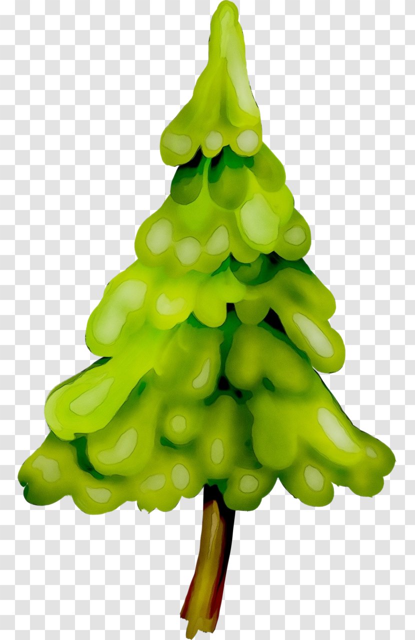 Christmas Tree Watercolor - Conifer Pine Family Transparent PNG
