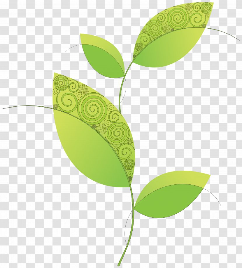 Leaf Clip Art - Paper Transparent PNG