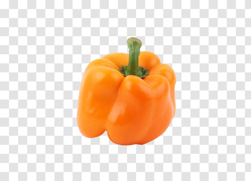 Bell Pepper Capsicum Baccatum Chili Paprika Vegetable - Pepperoni - Organic Vegetables Green Transparent PNG