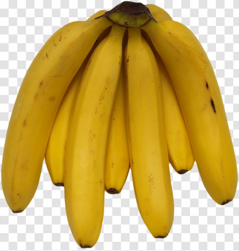 Cooking Banana Fruit Food Avocado - Saba Transparent PNG