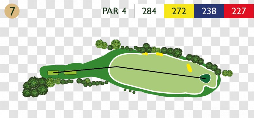 Golf D'Abbeville Course Tawny Owl - Reptile - Afforest Transparent PNG