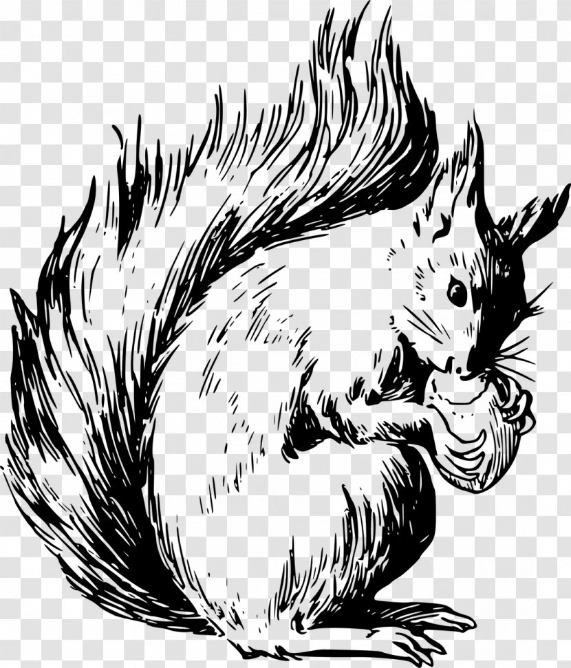 Squirrel Drawing Clip Art - Cat Like Mammal Transparent PNG