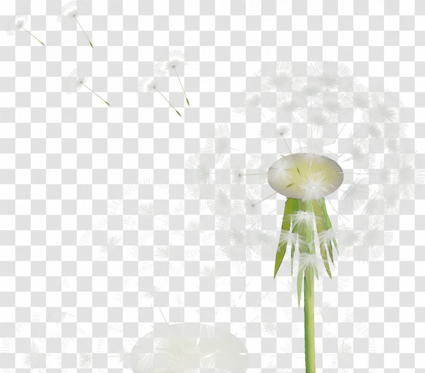 Flower Transparent PNG