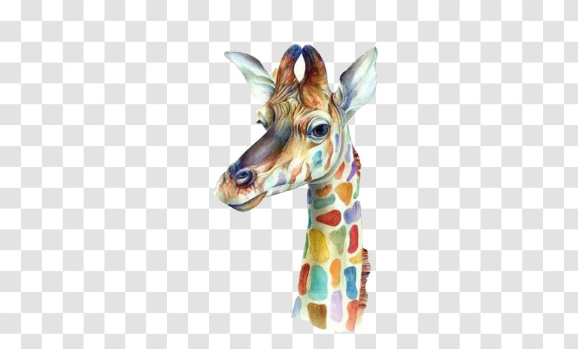 Giraffe Canvas Print Printing Printmaking - Work Of Art - Avatar Image Creative Color Lead Transparent PNG