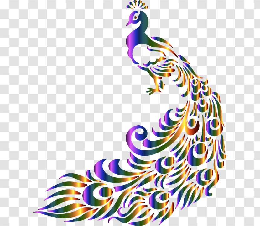 Asiatic Peafowl Black And White Feather Clip Art - God Bird Peacock Transparent PNG