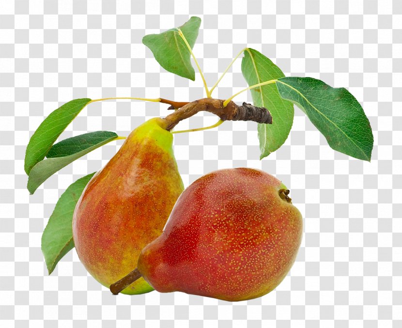 Organic Food Pear Gluten Nut Transparent PNG