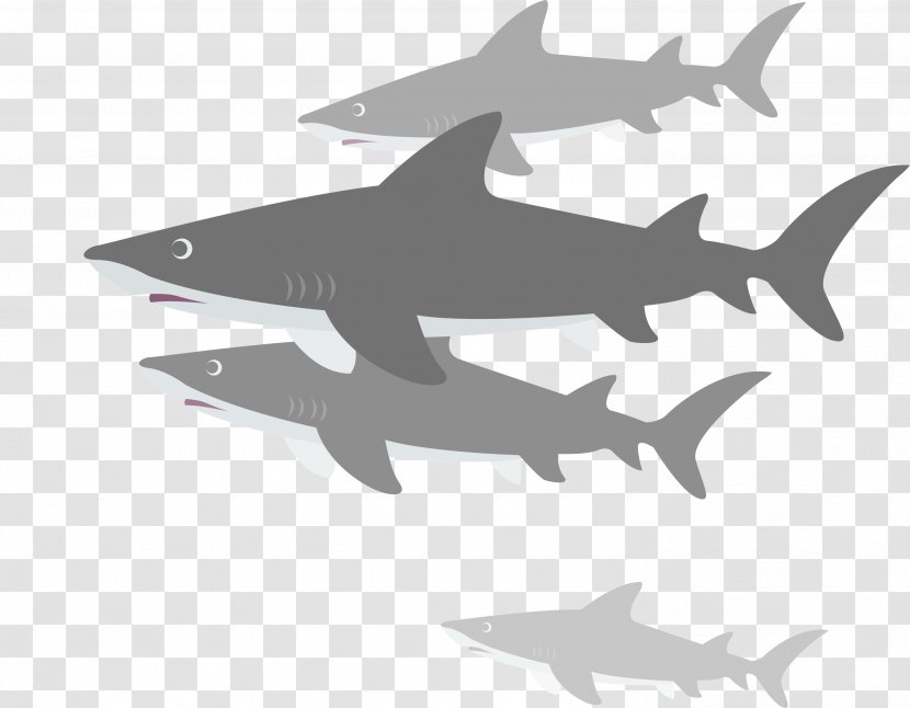 Payara Server GlassFish Java Information - Requiem Shark Transparent PNG