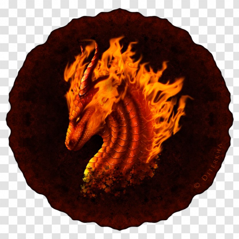 Organism Animal - Flame Dragon Transparent PNG