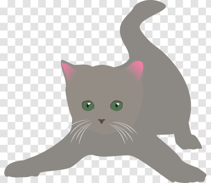 Kitten Whiskers Domestic Short-haired Cat British Shorthair Clip Art - Like Mammal Transparent PNG
