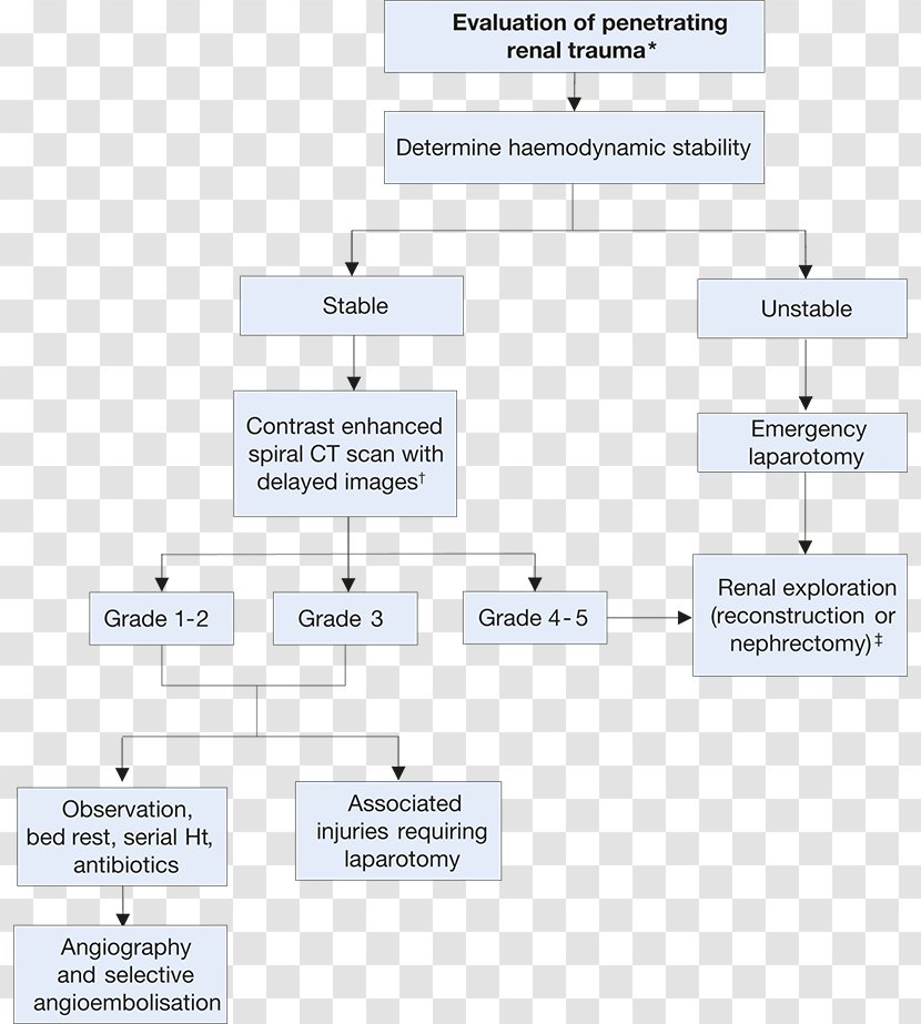 Document Line Organization Angle - Text Transparent PNG