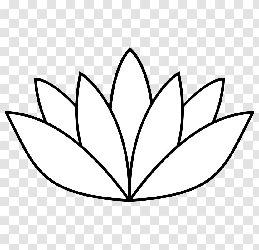 Drawing Nelumbo Nucifera Line Art Clip - Flower Outline Pictures Transparent PNG