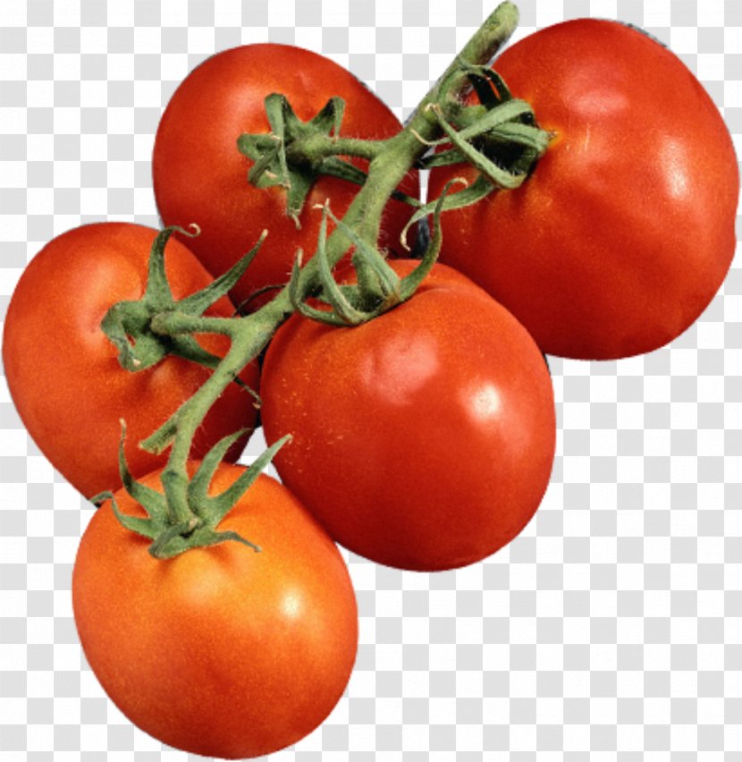 Plum Tomato Cherry Bush Vegetable - Food - A Bunch Of Tomatoes Transparent PNG