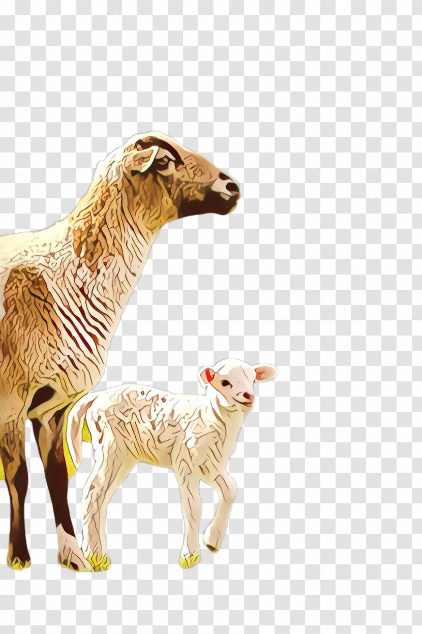 Sheep Animal Figure Livestock Cow-goat Family - Goats - Fawn Transparent PNG