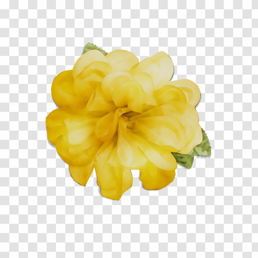 Yellow Cut Flowers - Gardenia Transparent PNG