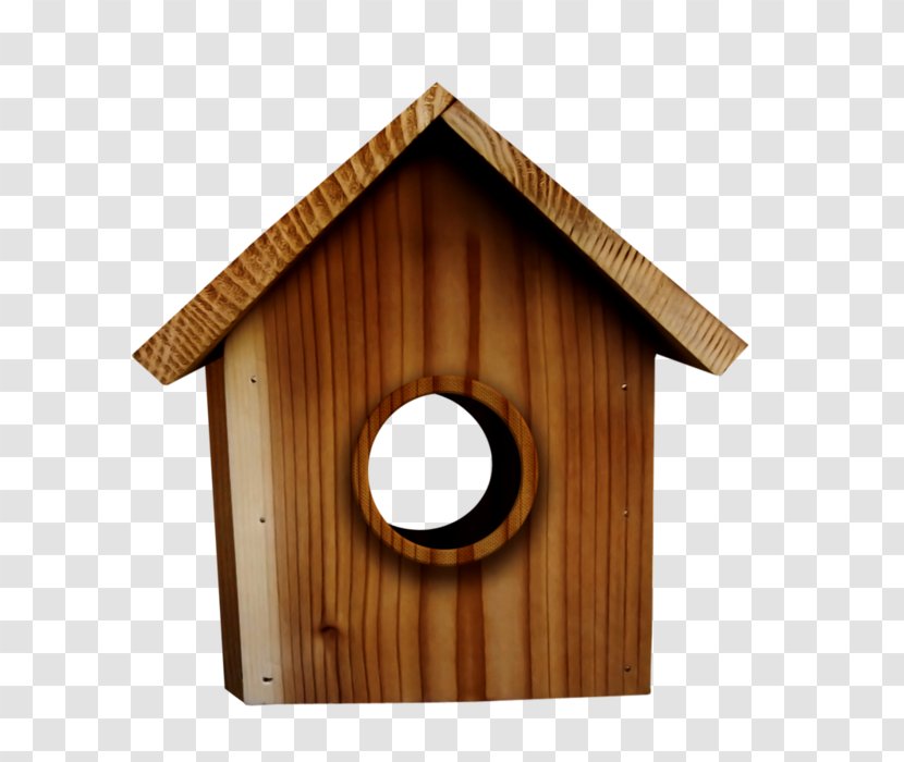 Edible Bird's Nest Bird Box Transparent PNG