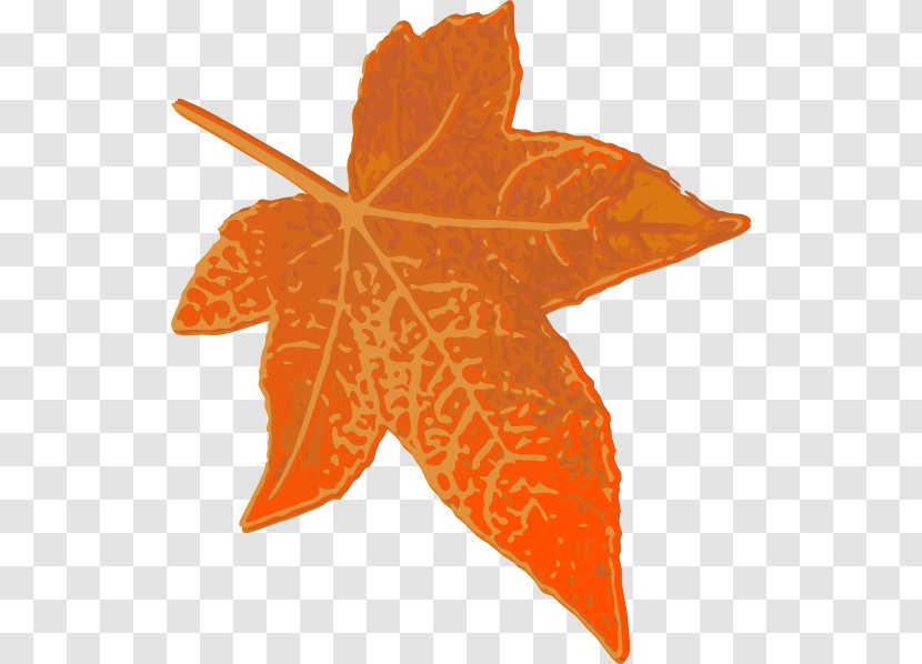 Maple Leaf Orange Clip Art - Starfish Transparent PNG