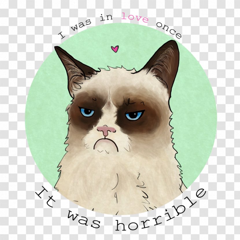 Grumpy Cat Whiskers Kitten Greeting & Note Cards - Like Mammal Transparent PNG